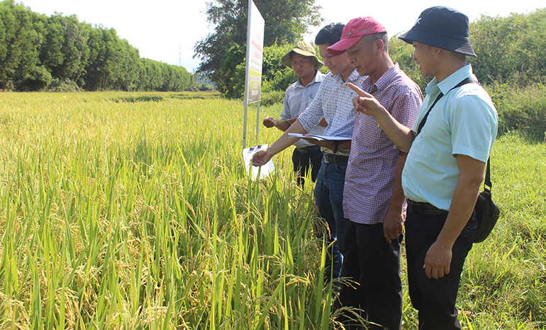 Khơi dậy sức mạnh sáng tạo và trách nhiệm của giới khoa học